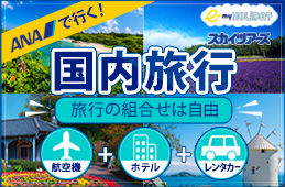 ANAで行く旅行予約サイト「スカイツアーズ」のお申込みが直接できるようになりました！